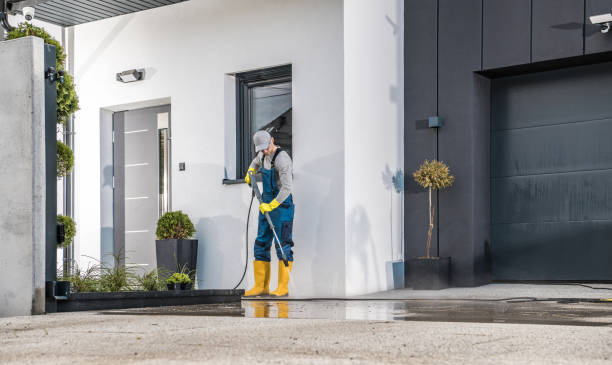 Best Winterizing Services  in Concord, MI